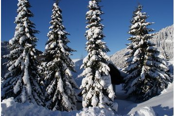 Ausztria Penzión Ramsau am Dachstein, Exteriőr